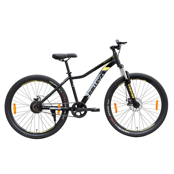 Ralleyz Arcadia Dawn