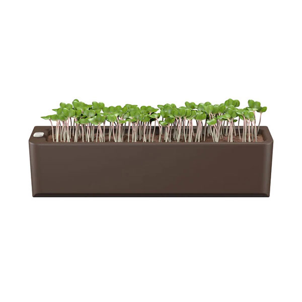 Everyday Organisers Terrarium