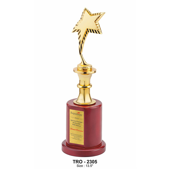 Premium Metal Star Trophy With Decorative Centre And A Wooden Base Tro-2305 (13.5 Inches)