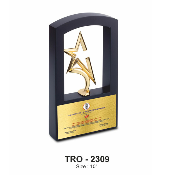 Metal Trophy Tro-2309 (10 Inches)
