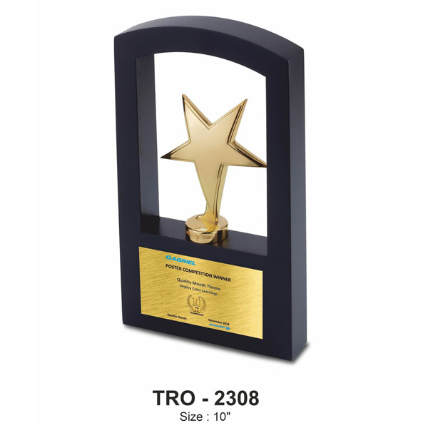 Metal Trophy Tro-2308 (10 Inches)