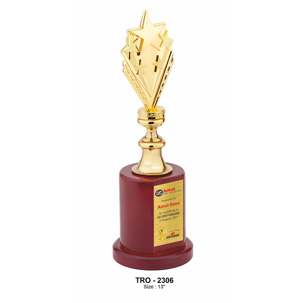 Premium Metal Star Trophy With E Decorative Centre And A Wooden Base Tro-2306 (13 Inches)