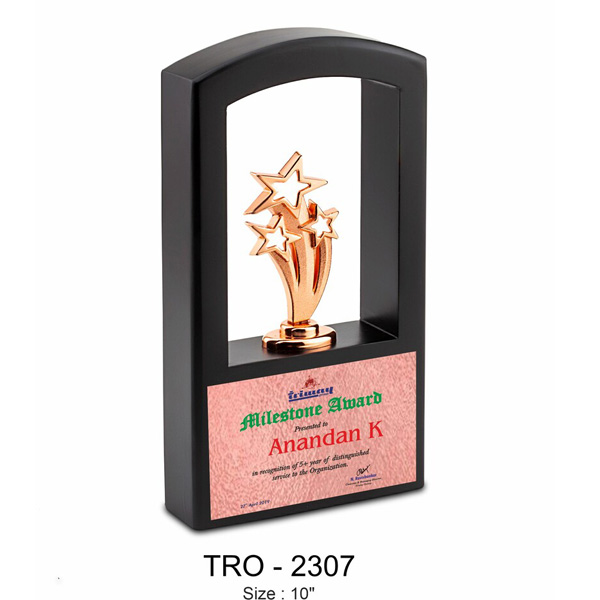 Metal Trophy Tro-2307 (10 Inches)