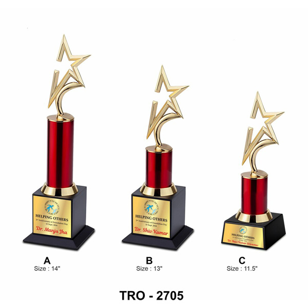 Metal Trophy Tro-2705 (11.5 Inches)