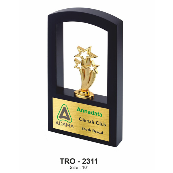 Metal Trophy Tro-2311 (10 Inches)