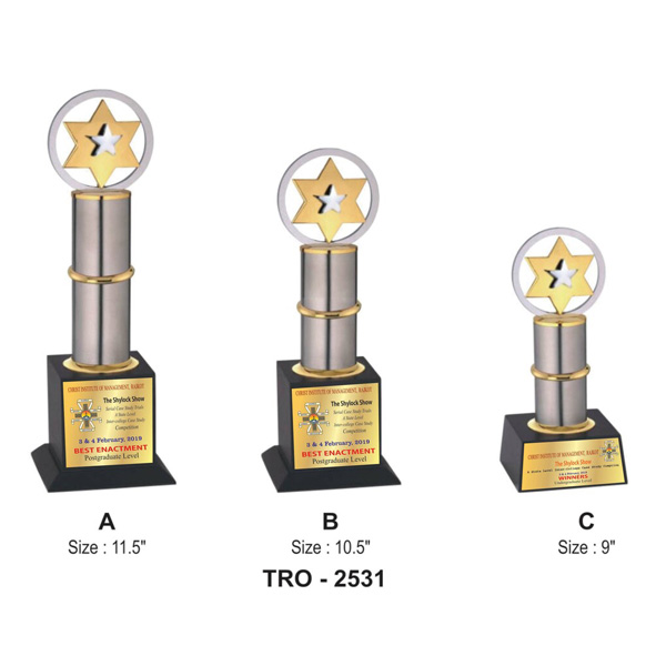 Corporate Designer Star Trophy Tro-2531 (9 Inches)