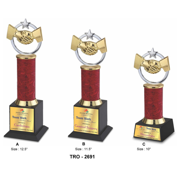 Corporate Handshake Trophy Tro-2691 (10 Inches)