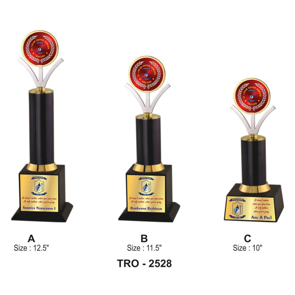 Corporate Designer Trophy Tro-2528 (10 Inches)