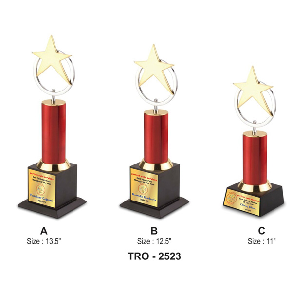 Golden Star With Ring Trophy Tro-2523 (11 Inches)