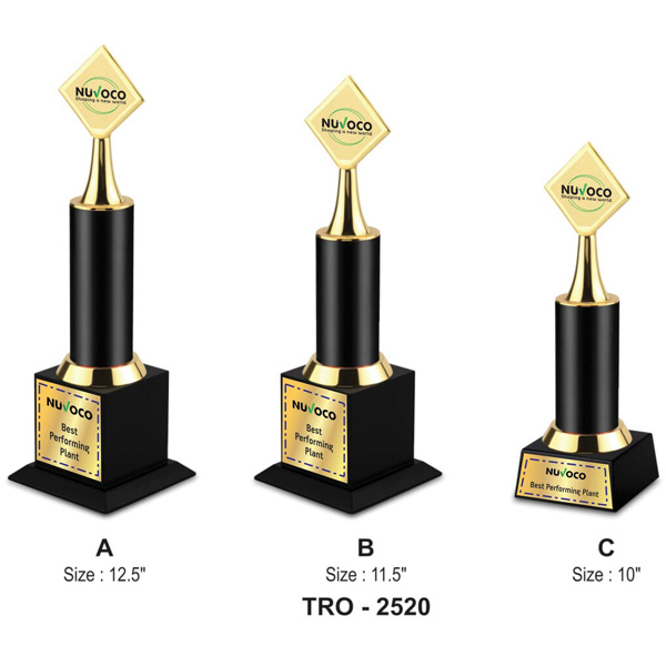 Corporate Designer Trophy Tro-2520 (10 Inches)