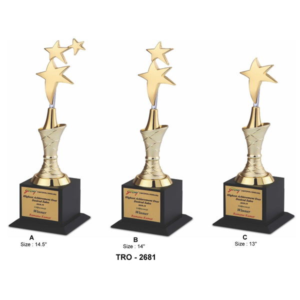 Corporate Star Trophy Tro-2681 (13 Inches)