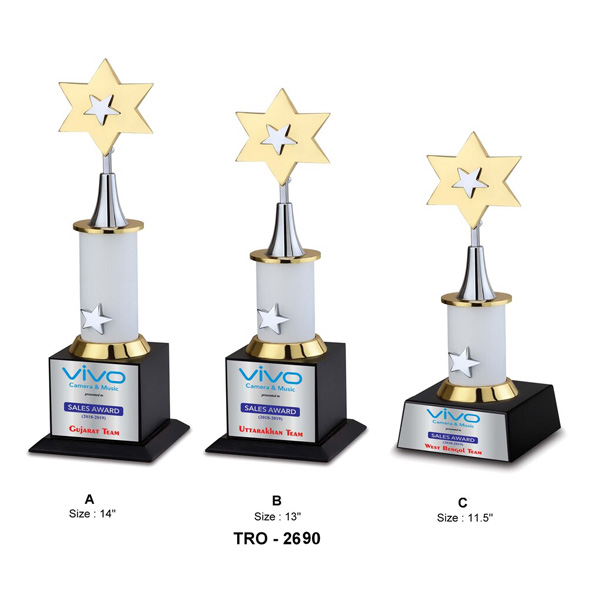 Corporate Designer Star Trophy Tro-2690 (11.5 Inches)