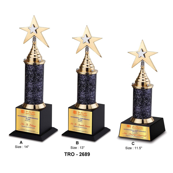 Corporate Designer Star Trophy Tro-2689 (11.5 Inches)