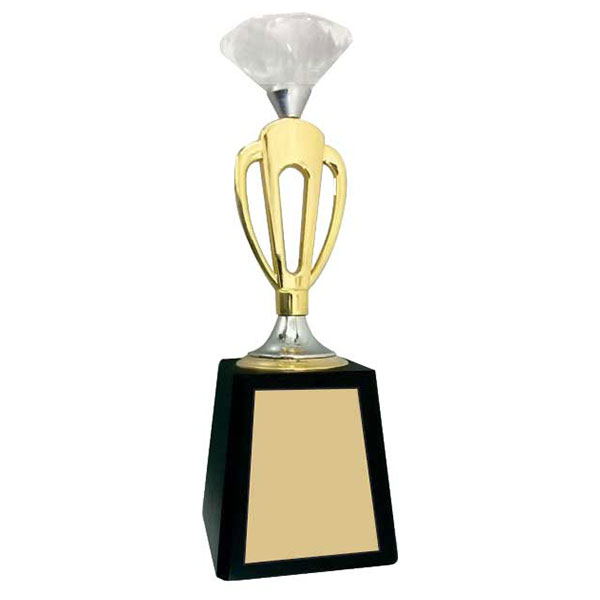 Diamond On A Loop Trophy Model-1067 70X70X230Mm