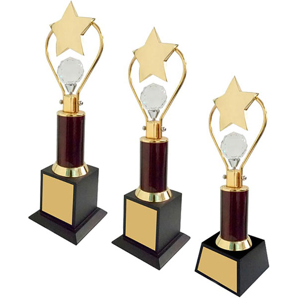 Crystal Sphere With Star Trophy Size A Model-1072 A 100X100X381Mm