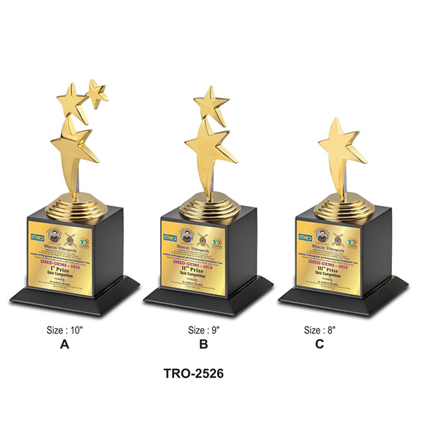 Corporate Gold Star Trophy Tro - 2526