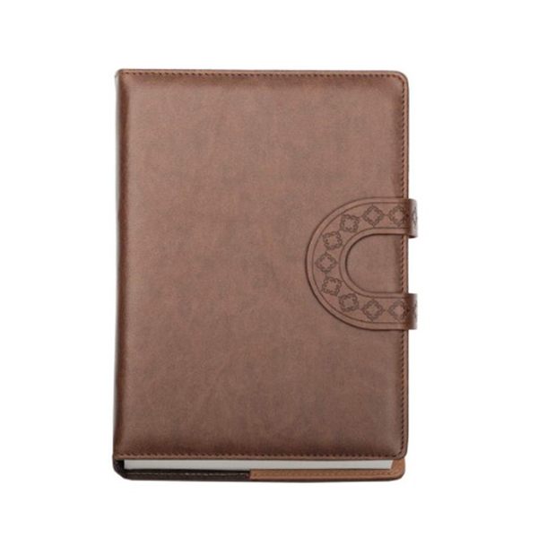 Viva U-Loop Portfolio Diaries