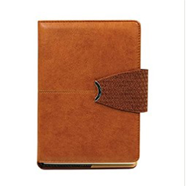 Viva Symphony Portfolio Diaries B5